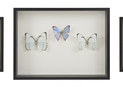 14.2. The end of the fairytale. Various sizes. Silver, Butterfly wings, steel. Photo Mustavalkoinen